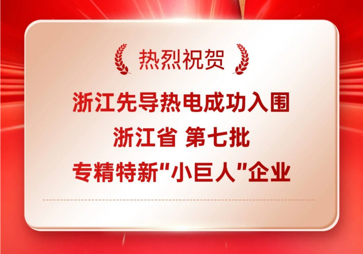 熱烈祝賀浙江先導(dǎo)熱電入圍浙江省第七批專精特新“小巨人”企業(yè)！